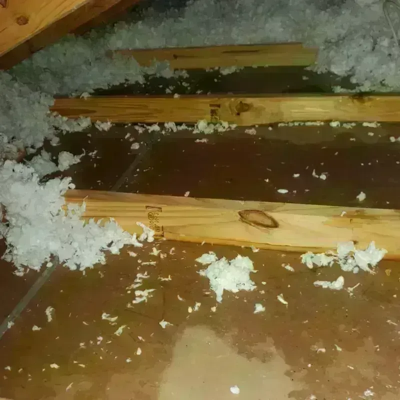 Attic Water Damage in Canton, OH