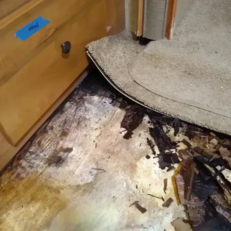 Best Wood Floor Water Damage Service in Canton, OH